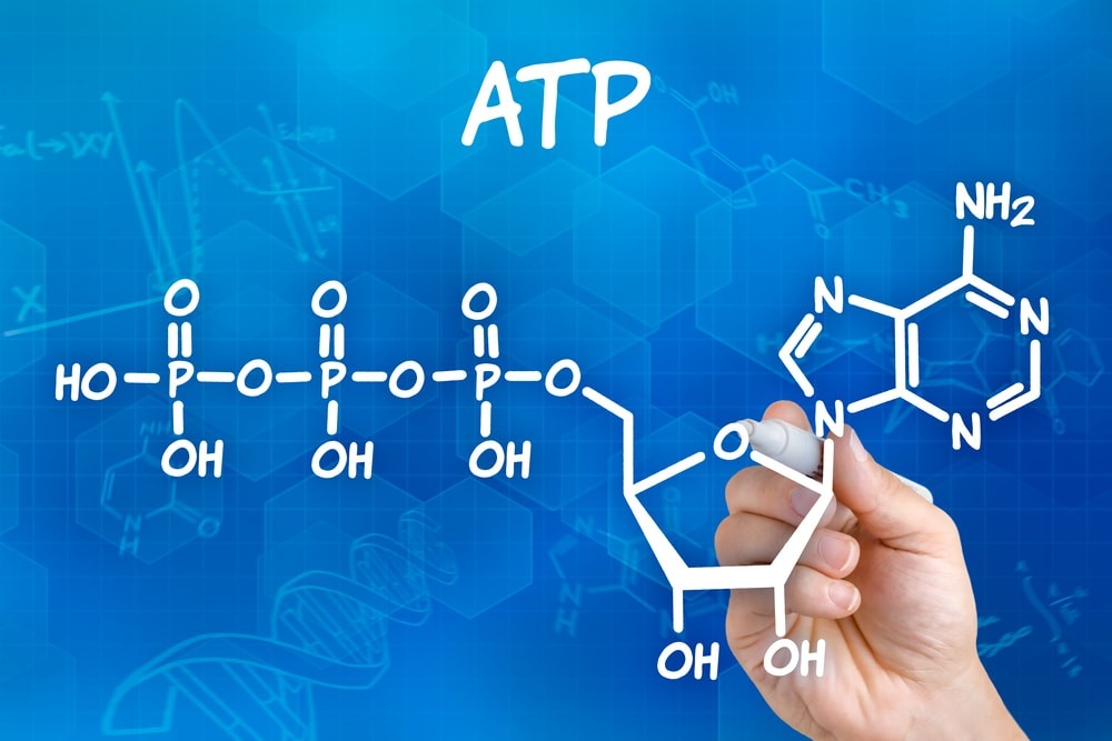 Структурная (молекулярная) формула Аденозинтрифосфорной кислоты (АТФ)