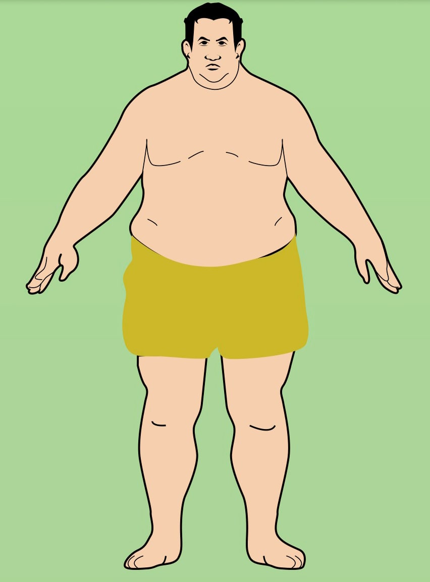 Что значит приземистый. Эндоморфный Тип телосложения. Человек тучного телосложения. Тип телосложения толстый. Упитанный мужчина фигура.