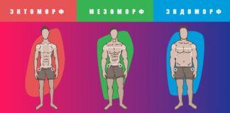 Типы телосложений мужчин: эктоморф, эндоморф, мезоморф