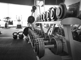 Техника безопасности в тренажерном зале Тренажерный зал (гантели, гири, блины от штанги, стойки)