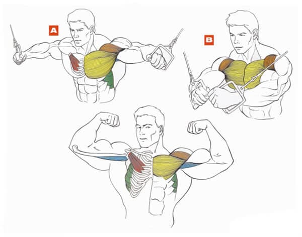 Техника выполнения упражнения для грудных мышц: сведения в кроссовере через верхние блоки