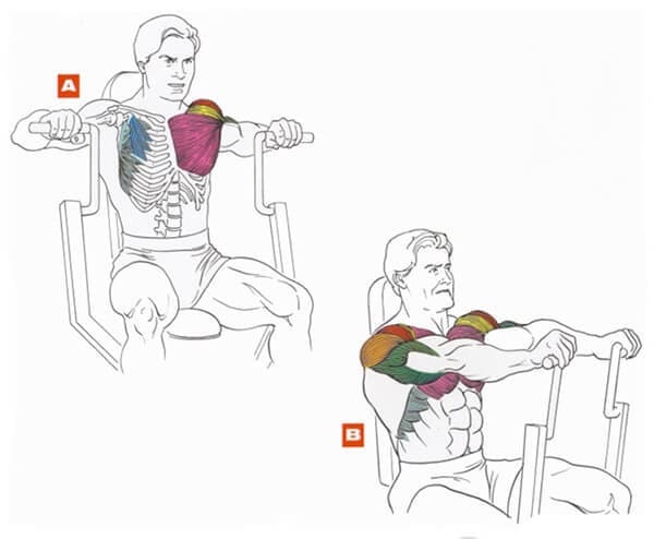 Техника выполнения упражнения для грудных мышц: жим от груди в тренажере сидя