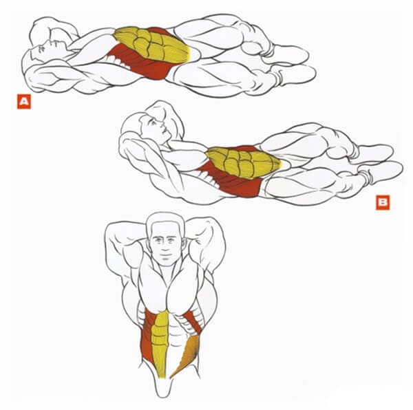 Техника выполнения упражнения косые скручивания (для боковым мышц пресса)