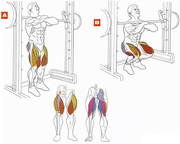 Техника выполнения упражнения для мышц ног: приседания со штангой на груди в тренажере Смита