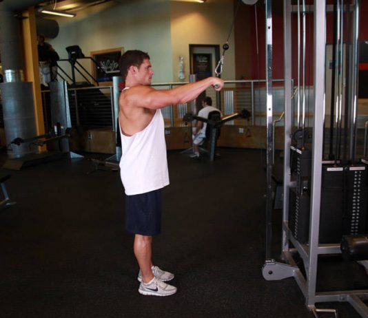 Пуловер в блочном тренажере стоя