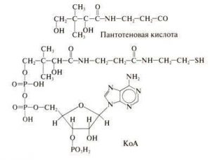 Химическая формула пантотеновой кислоты (витамина B5)