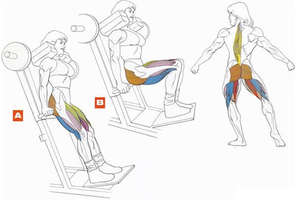 Техника выполнения упражнения для мышц ног: гак-приседания