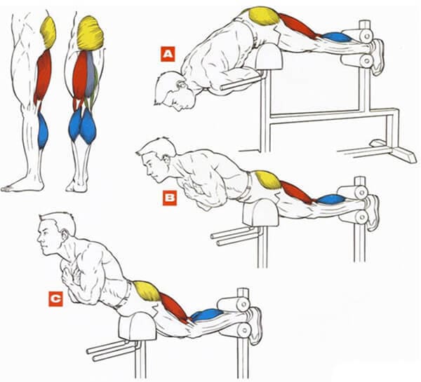 Техника выполнения упражнения для мышц ног и спины: гиперэкстензия