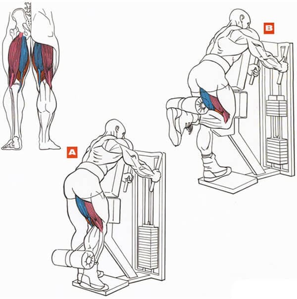 Техника выполнения упражнения для икроножной мышцы: сгибание ноги в тренажере стоя