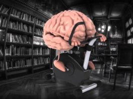 Человеческий мозг на велотренажере в библиотеке