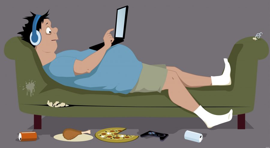 Толстый парень лежа на диване играет в ноутбук