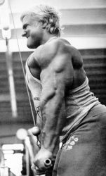 Том Платц (Tom Platz) Том Платц (Tom Platz)