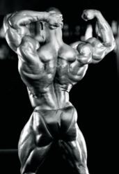 Виктор Мартинес (Victor Martinez) Виктор Мартинес (Victor Martinez)
