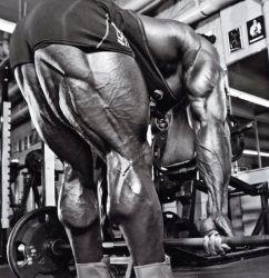 Кай Грин (Kai Greene) Кай Грин (Kai Greene)