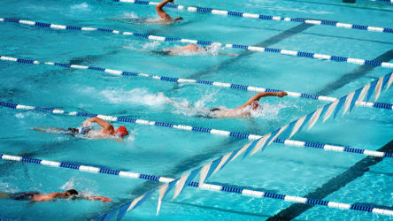 Плавание (Swimming) Плавание (Swimming)