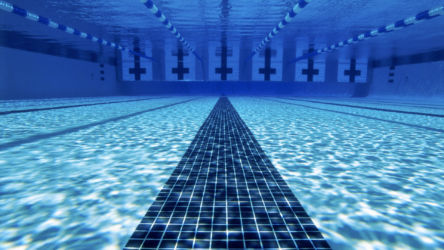 Плавание (Swimming) Плавание (Swimming)