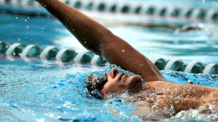 Плавание (Swimming) Плавание (Swimming)