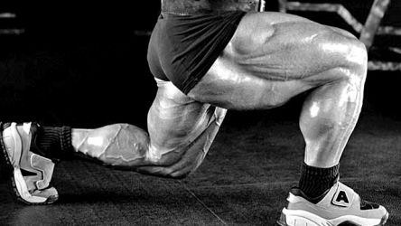Том Платц (Tom Platz) Том Платц (Tom Platz)
