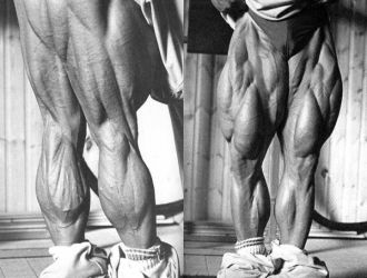 Том Платц (Tom Platz) Том Платц (Tom Platz)