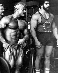 Том Платц (Tom Platz) Том Платц (Tom Platz)