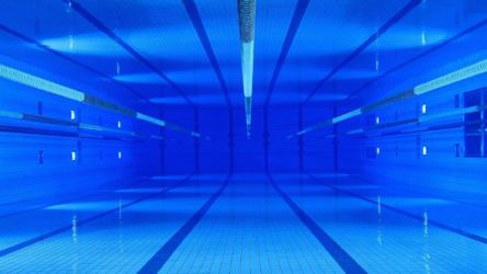 Плавание (Swimming) Плавание (Swimming)