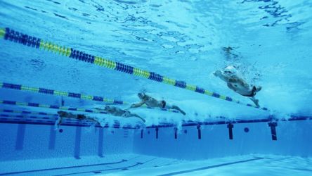 Плавание (Swimming) Плавание (Swimming)