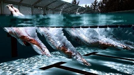 Плавание (Swimming) Плавание (Swimming)