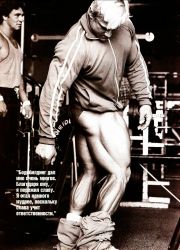 Том Платц (Tom Platz) Том Платц (Tom Platz)