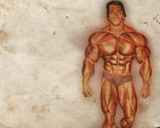 Бодибилдинг (Bodybuilding) Бодибилдинг (Bodybuilding)