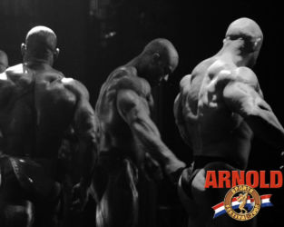 Бодибилдинг (Bodybuilding) Бодибилдинг (Bodybuilding)