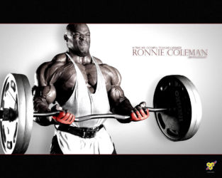 Бодибилдинг (Bodybuilding) Бодибилдинг (Bodybuilding)