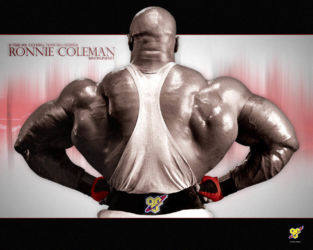 Бодибилдинг (Bodybuilding) Бодибилдинг (Bodybuilding)