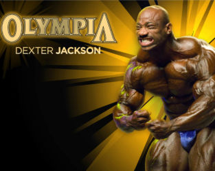 Бодибилдинг (Bodybuilding) Бодибилдинг (Bodybuilding)