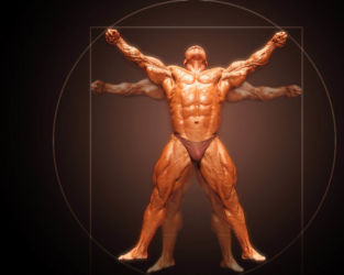 Бодибилдинг (Bodybuilding) Бодибилдинг (Bodybuilding)