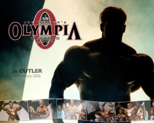 Бодибилдинг (Bodybuilding) Бодибилдинг (Bodybuilding)