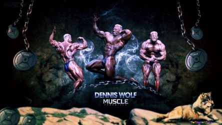 Бодибилдинг (Bodybuilding) Бодибилдинг (Bodybuilding)